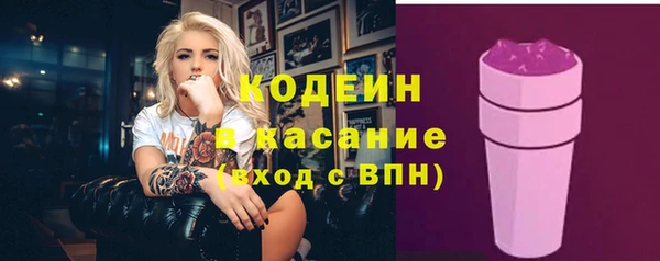 индика Баксан