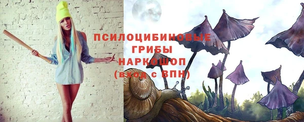 индика Баксан