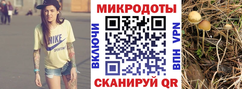 Галлюциногенные грибы ЛСД Куйбышев